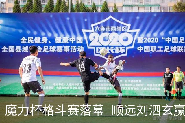 魔力杯格斗赛落幕 顺远刘泗玄赢下100公斤级